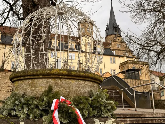 Foto: Heide Böllinger aus Bad Friedrichshall
