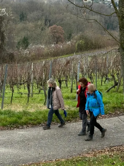 vorbei an Weinbergen | Foto: E. Rosendorf