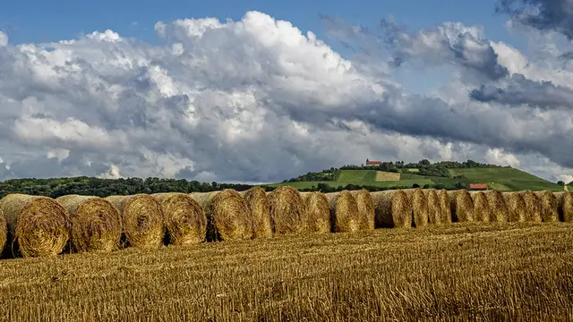 Strohballen auf abgeernteten Feldern zeigten uns auf Erwin Weigends Foto, dass der Sommer vorbei ist.  | Foto: Erwin Weigend