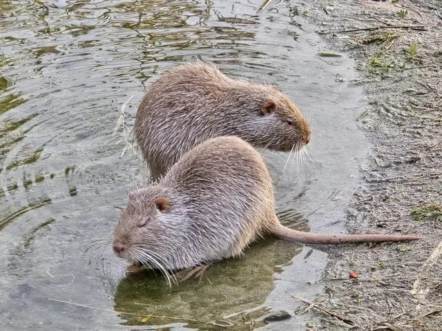 Foto: Heidrun Rosenberger