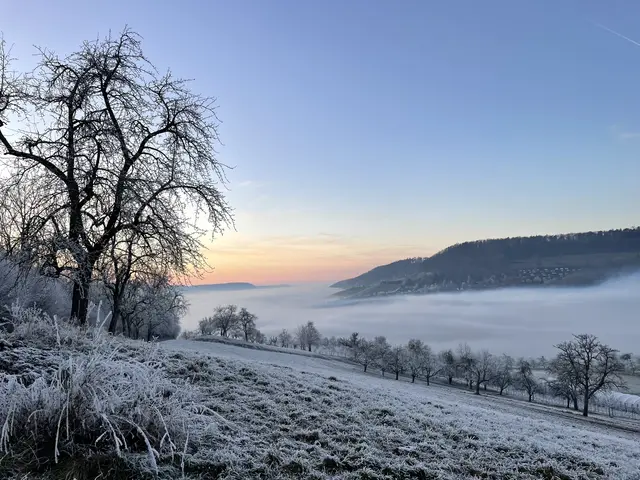 So schön kann Winter sein: Raureif und Nebel zaubern besondere Motive in die Landschaft. Dieses Motiv hat Pascale Welisch eingefangen.  | Foto: Pascale Welisch