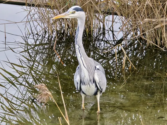 Foto: Heidrun Rosenberger