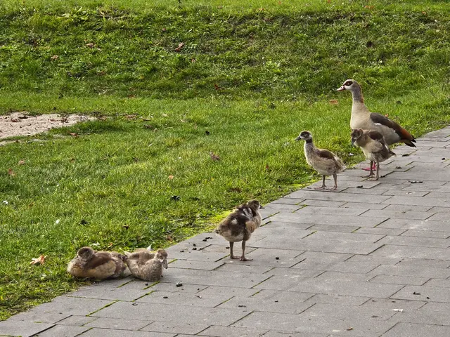 Foto: Heidrun Rosenberger