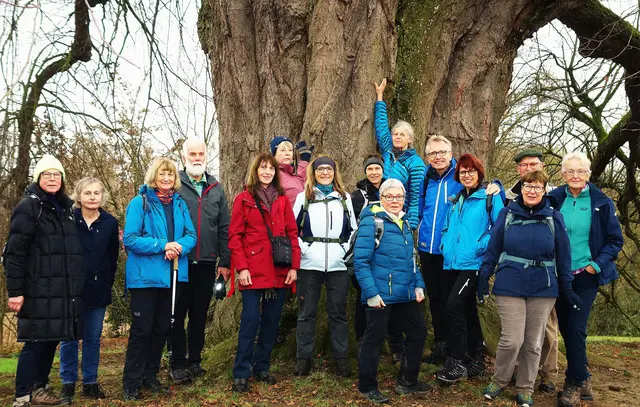 Das Naturdenkmal, die 300 Jahre alte Anna-Linde mit einem Stammumfang von 7,16m, das zugleich ältester und größter Baum im Umkreis ist, wurde von den Wanderer der Aktivgruppe Talheim als Idealbild ausgewählt. | Foto: Isolde Reitz