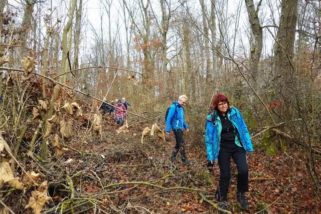 Wegen sehr morastigen Wegen, mussten wir uns querfeldein durch den verwilderten Wald kämpfen. | Foto: Isolde Reitz