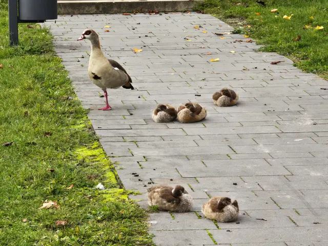 Foto: Heidrun Rosenberger