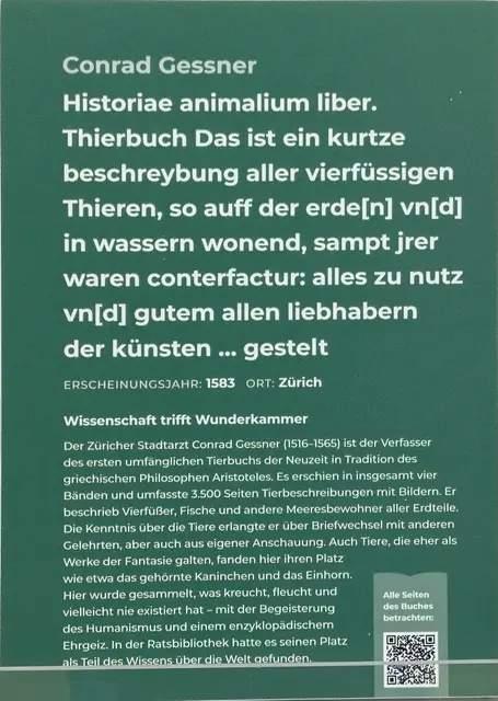 Foto: Eigene Aufnahme