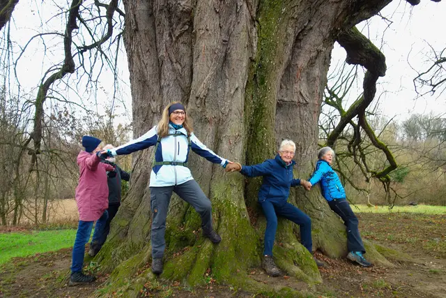 Bei einem Umfang von 7,16m, brauchten wir 8 Personen zum Umfassen des Stammes. | Foto: Isolde Reitz