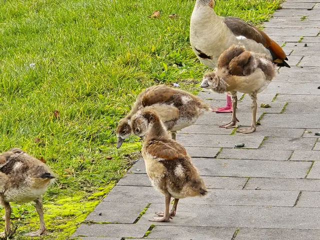 Foto: Heidrun Rosenberger