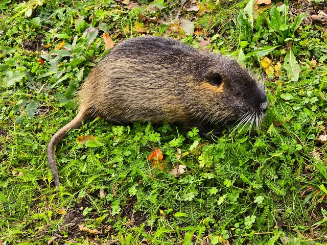 Foto: Heidrun Rosenberger