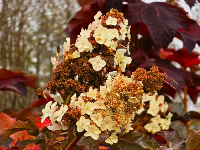 Foto: Heidrun Rosenberger