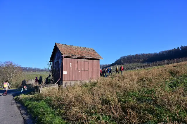 Alle sind noch fit. | Foto: Michael Harmsen