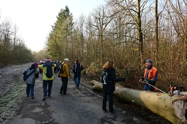 Andi macht Holz.  | Foto: Michael Harmsen