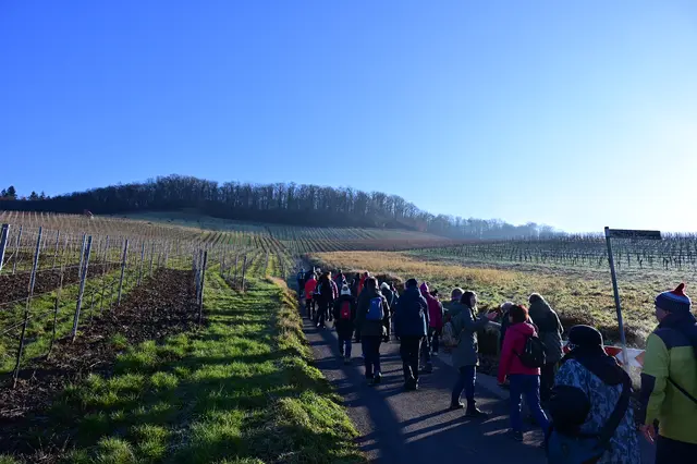 Ganz schön steil. | Foto: Michael Harmsen