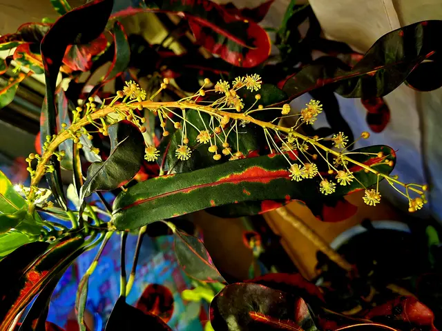 Foto: Heidrun Rosenberger