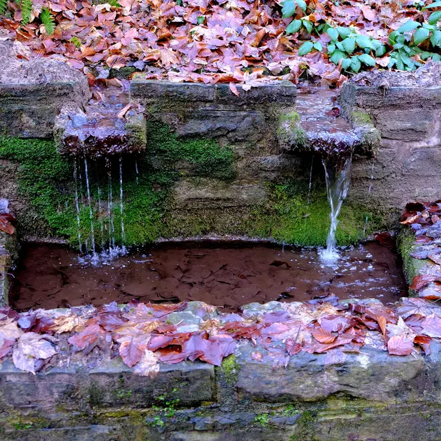 Foto: Eduard Warenik