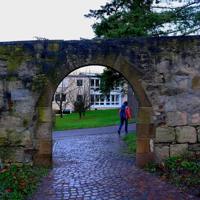 Lichtenstern  | Foto: Eduard Warenik