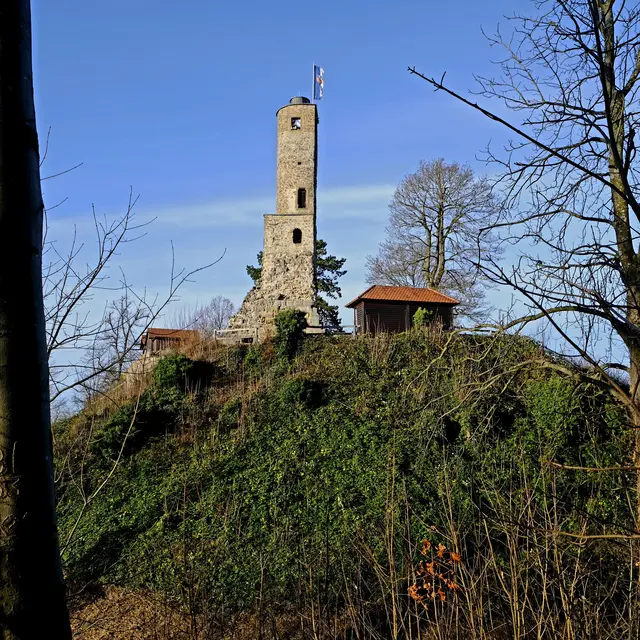 Foto: Eduard Warenik