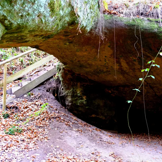 Foto: Eduard Warenik