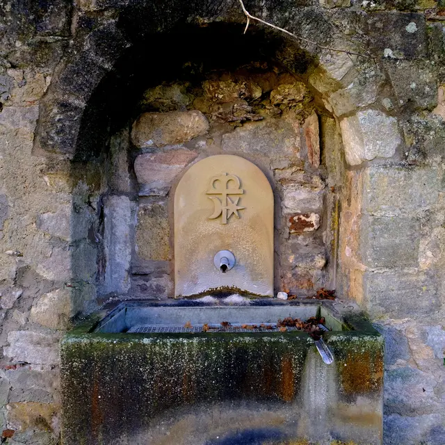 Foto: Eduard Warenik