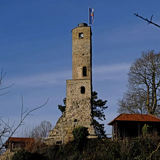 Foto: Eduard Warenik