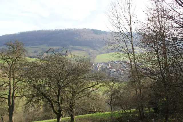Vom Wanderparkplatz Steinerner Tisch in Döttingen nach Weilersbach und zurück | Foto: Ralf Röser