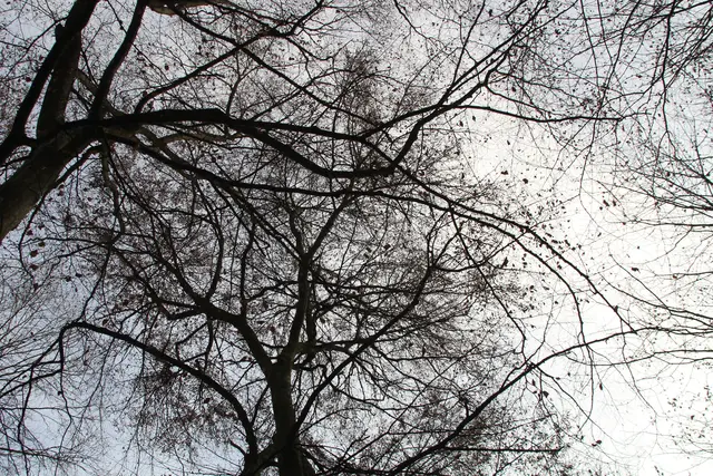 Vom Wanderparkplatz Steinerner Tisch in Döttingen nach Weilersbach und zurück | Foto: Ralf Röser