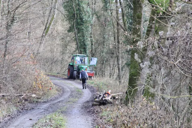Vom Wanderparkplatz Steinerner Tisch in Döttingen nach Weilersbach und zurück | Foto: Ralf Röser