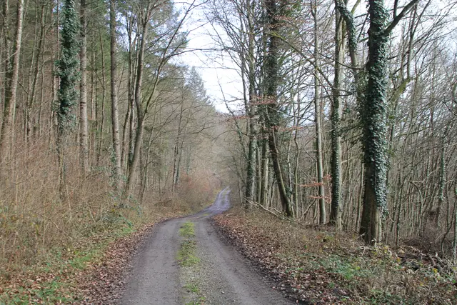 Vom Wanderparkplatz Steinerner Tisch in Döttingen nach Weilersbach und zurück | Foto: Ralf Röser
