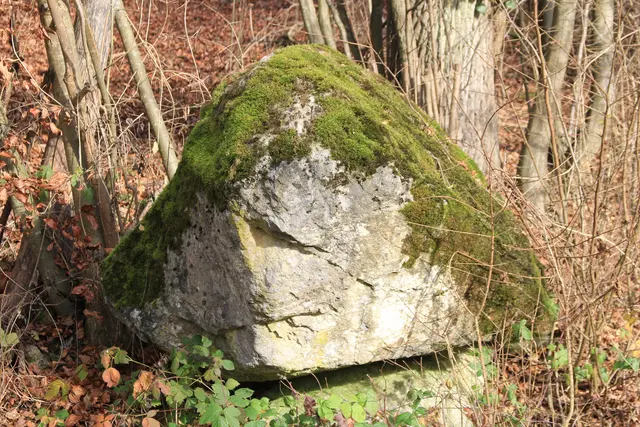Vom Wanderparkplatz Steinerner Tisch in Döttingen nach Weilersbach und zurück | Foto: Ralf Röser