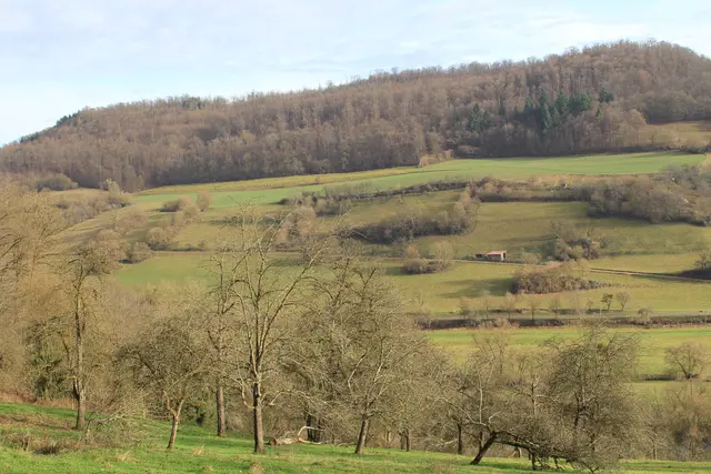 Vom Wanderparkplatz Steinerner Tisch in Döttingen nach Weilersbach und zurück | Foto: Ralf Röser