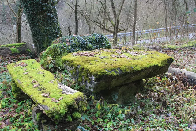 Vom Wanderparkplatz Steinerner Tisch in Döttingen nach Weilersbach und zurück | Foto: Ralf Röser