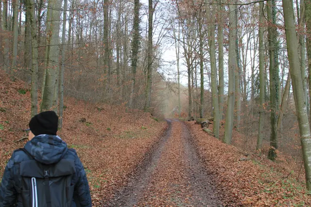 Vom Wanderparkplatz Steinerner Tisch in Döttingen nach Weilersbach und zurück | Foto: Ralf Röser