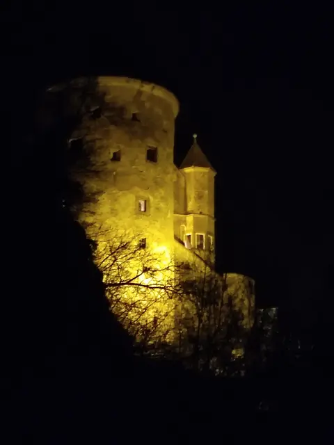 Ein letztes Bild der Burg. Nun gehts nach Untergruppenbach zum Rathaus.  | Foto: Daniela Somers