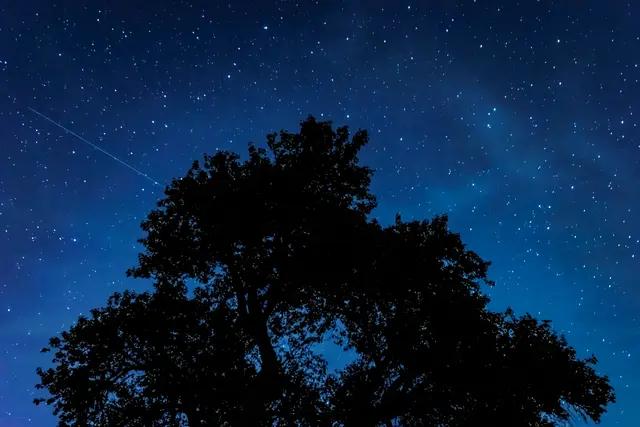 Foto: Benedikt Miene