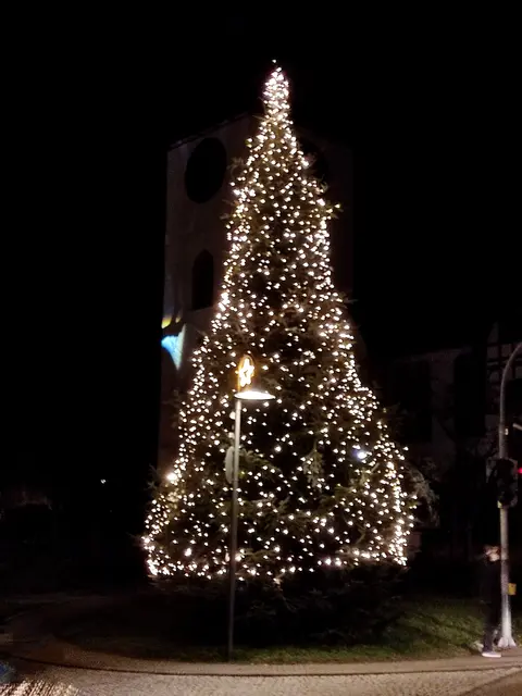 Der Weihnachtsbaum in Untergruppenbach funkelt. | Foto: Daniela Somers