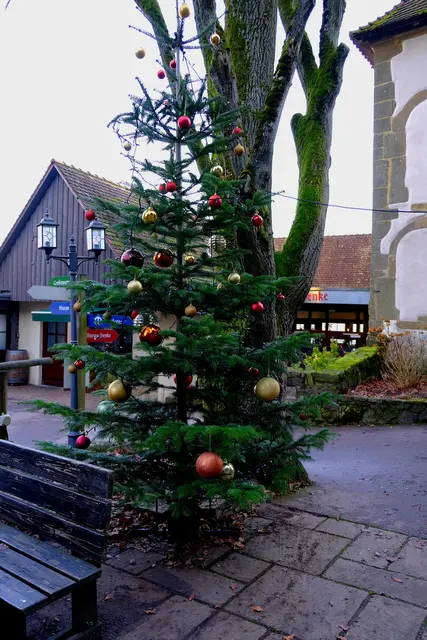 Foto: Eduard Warenik