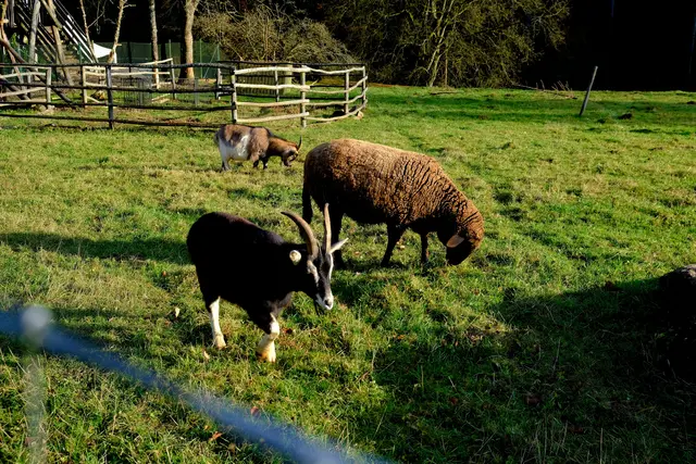 Foto: Eduard Warenik