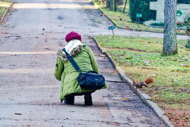 Bald fressen die Hörnis der Selly aus der Hand 😁 | Foto: WKY