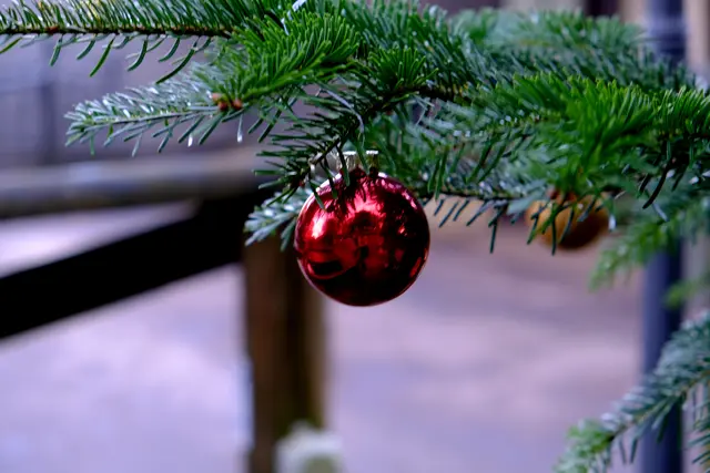 Foto: Eduard Warenik