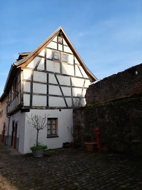 Aus Platzmangel wurden auch Häuser direkt auf die Stadtmauer am Neckar gebaut- dieses kragt auf der Neckarseite sogar noch über einen Meter hinaus. | Foto: Foto privat