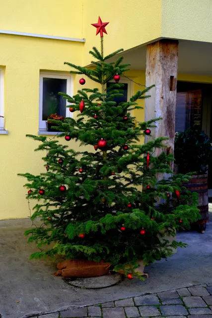 Siegelsbacher Mühle  | Foto: Eduard Warenik