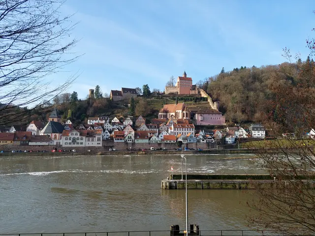 Blick von Ersheim auf die Altstadt mit der Stadtmauer, Karmeliterkloster unterhalb der Burg, Burg und Schlößchen. | Foto: Foto privat