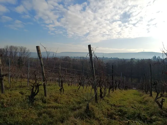 blauer Himmel, kühles Wetter | Foto: E. Rosendorf