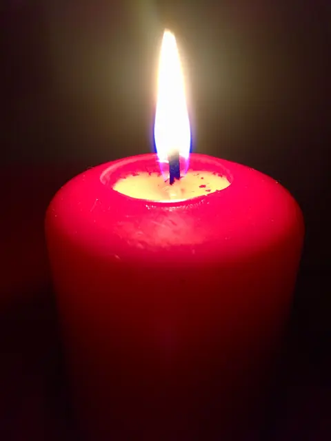 Foto: Heide Böllinger aus Bad Friedrichshall