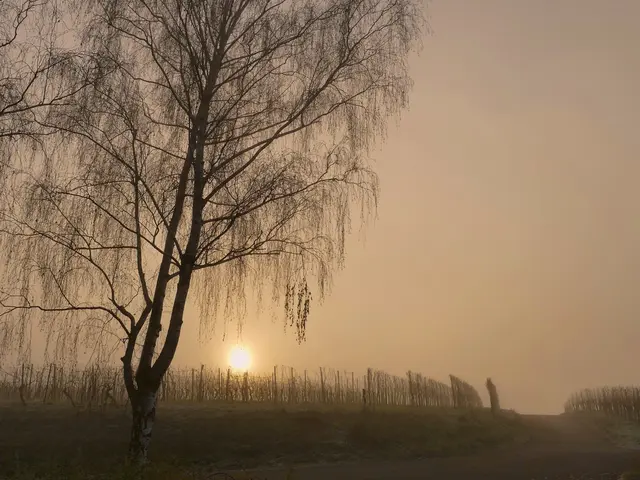 Sonnenaufgang am Heuchelberg | Foto: KHW