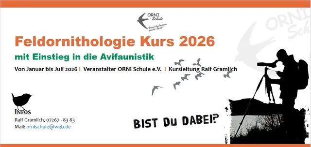 Einladung zum Vogelkunde-Kurs 2026 | Foto: Ralf Gramlich/ORNI Schule