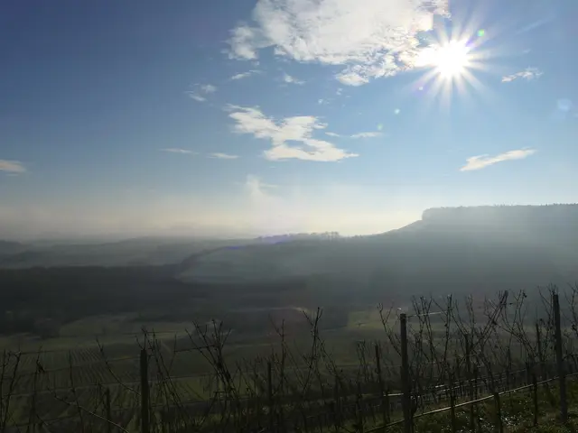 Sonne im Nebel mit Blick auf den Stromberg | Foto: KHW