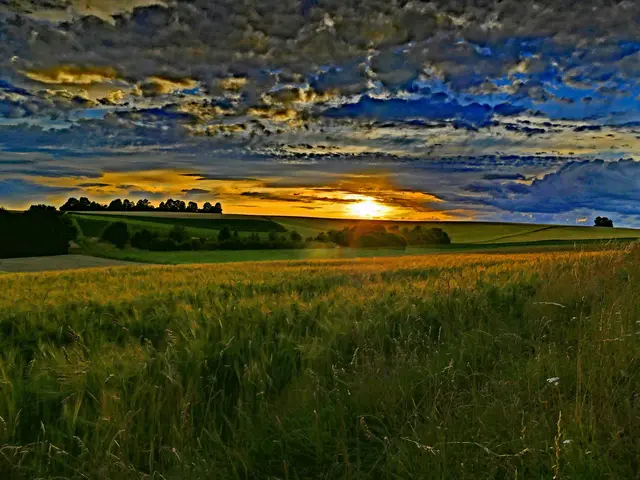 Sonenuntergang über Gerstenfeld | Foto: KHW