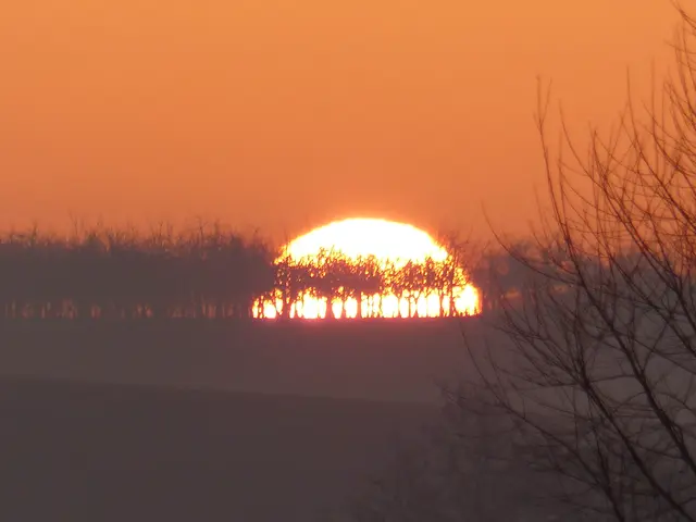 Auch die Apfelbäume warten sehnsüchtig auf die Sonne | Foto: Konrad Schomerus